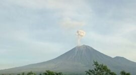 Alami 14 Kali Gempa Akibat Letusan, Aktivitas Vulkanis Gunung Semeru di Lumajang, Jawa Timur