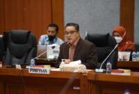 Wakil Ketua Komisi X DPR RI Dede Yusuf. (Dok. dpr.go.id)