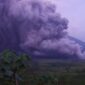 Gunung Semeru Erupsi, Warga di Kawasan Zona Merah Mengungsi ke Lokasi yang Aman