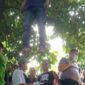 Temukan Jasad Pria Tergantung di Pohon Manggis, Warga Desa Cibeber Leuwiliang Geger
