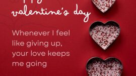 Portal Berita Terkinipost.com dan Fokus Siber Media Network Mengucapkan Selamat Hari Valentine 2023