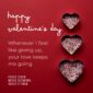 Portal Berita Terkinipost.com dan Fokus Siber Media Network Mengucapkan Selamat Hari Valentine 2023