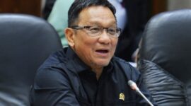 Wakil Ketua Komisi VI DPR RI, Inas Nasrullah Zubir. (Dok. Dpr.go.id)
