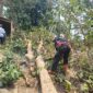 Akibat Angin Puting Beliung sebuah pohon besar menimpa atap rumah warga di Kecamatan Cireunghas, Kab. Sukabumi, Sabtu (21/10). Dok. BPBD Sukabumi.