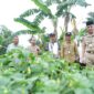 Foto : Pj. Bupati dan Ir. Puguh melihat keberhasilan pertanian cabai di Desa Petrah dan kekayaan durian yang beragam di Banjar. (Do.Ist)